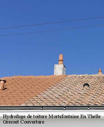 Hydrofuge de toiture  mortefontaine-en-thelle-60570 Gresset Couverture