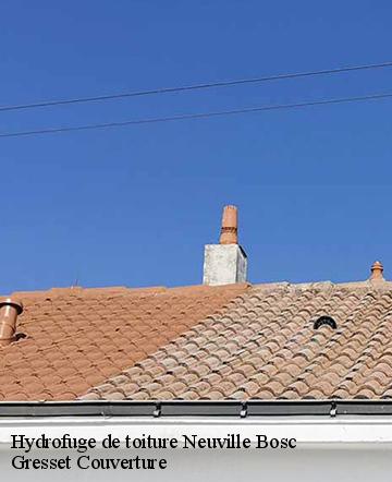 Hydrofuge de toiture  neuville-bosc-60119 Gresset Couverture