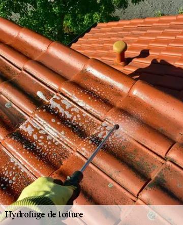 Hydrofuge de toiture  la-neuville-sur-oudeuil-60690 Gresset Couverture