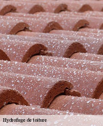 Hydrofuge de toiture ognolles-60310 Gresset Couverture