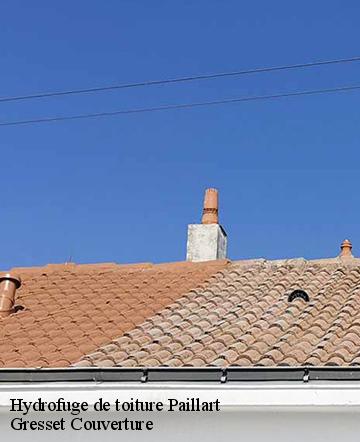 Hydrofuge de toiture  paillart-60120 Gresset Couverture