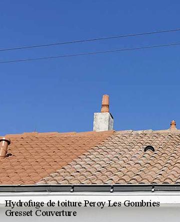 Hydrofuge de toiture peroy-les-gombries-60440 Gresset Couverture
