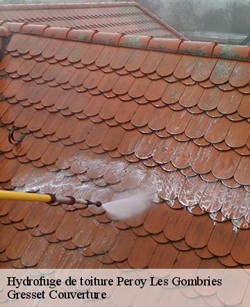 Hydrofuge de toiture peroy-les-gombries-60440 Gresset Couverture