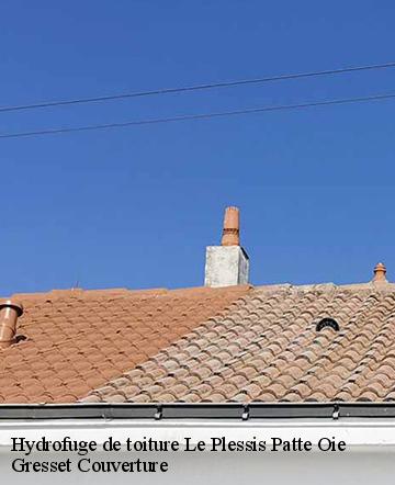 Hydrofuge de toiture  le-plessis-patte-oie-60640 Gresset Couverture