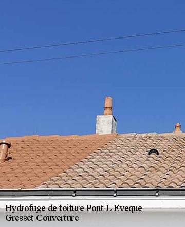 Hydrofuge de toiture  pont-l-eveque-60400 Gresset Couverture