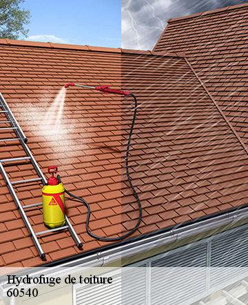 Hydrofuge de toiture puiseux-le-hauberger-60540 Gresset Couverture