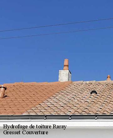 Hydrofuge de toiture  raray-60810 Gresset Couverture