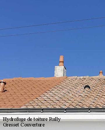 Hydrofuge de toiture rully-60810 Gresset Couverture