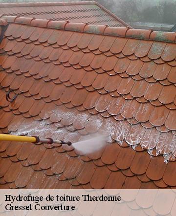 Hydrofuge de toiture therdonne-60510 Gresset Couverture