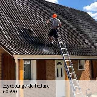Hydrofuge de toiture  trie-la-ville-60590 Gresset Couverture