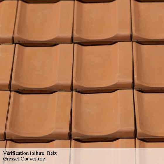 Vérification toiture   betz-60620 Gresset Couverture