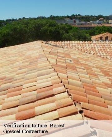 Vérification toiture   borest-60300 Gresset Couverture