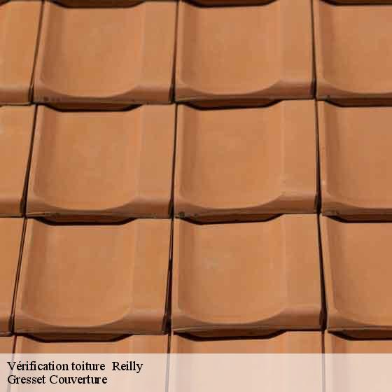 Vérification toiture reilly-60240 Gresset Couverture