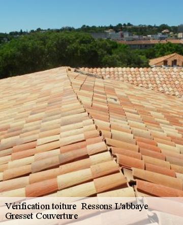 Vérification toiture   ressons-l-abbaye-60790 Gresset Couverture