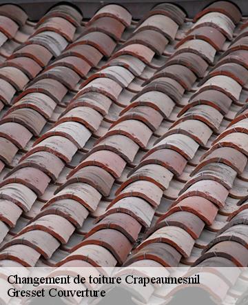 Changement de toiture crapeaumesnil-60310 Gresset Couverture