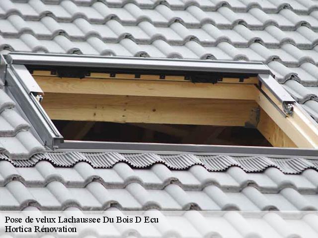 Pose de velux  lachaussee-du-bois-d-ecu-60480 Hortica Rénovation