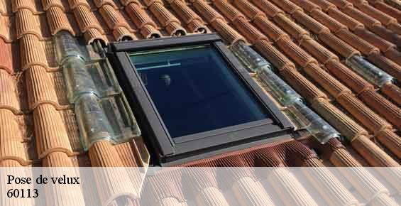 Pose de velux  monchy-humieres-60113 Gresset Couverture