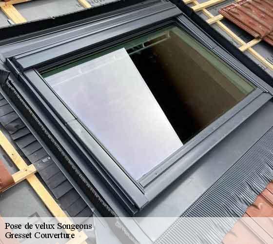 Pose de velux songeons-60380 Gresset Couverture