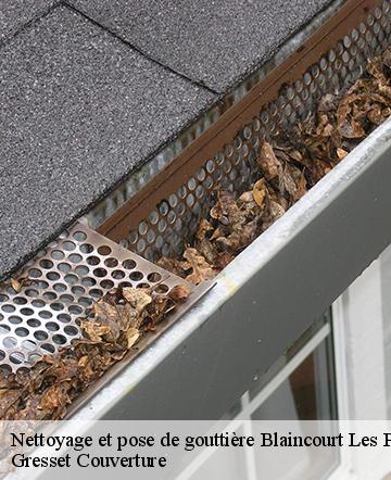 Nettoyage et pose de gouttière  blaincourt-les-precy-60460 Gresset Couverture