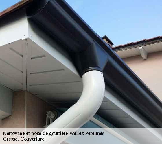 Nettoyage et pose de gouttière welles-perennes-60420 Gresset Couverture