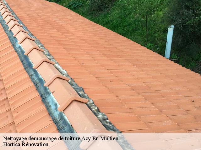 Nettoyage demoussage de toiture  acy-en-multien-60620 Hortica Rénovation