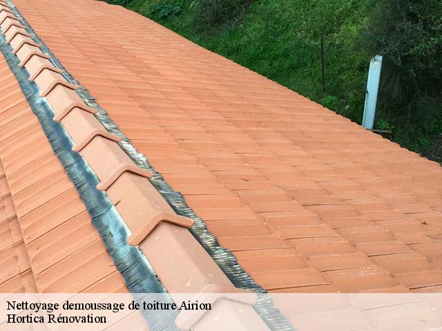 Nettoyage demoussage de toiture  airion-60600 Hortica Rénovation