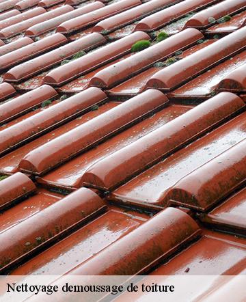Nettoyage demoussage de toiture  angicourt-60940 Gresset Couverture