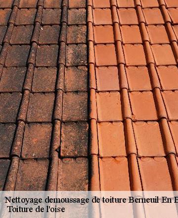 Nettoyage demoussage de toiture berneuil-en-bray-60390 Weslay couverture