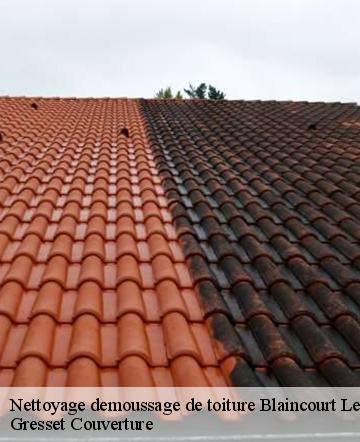 Nettoyage demoussage de toiture blaincourt-les-precy-60460 Gresset Couverture