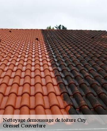 Nettoyage demoussage de toiture  cuy-60310 Gresset Couverture