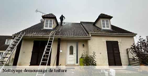 Nettoyage demoussage de toiture  fresneaux-montchevreuil-60240 Gresset Couverture