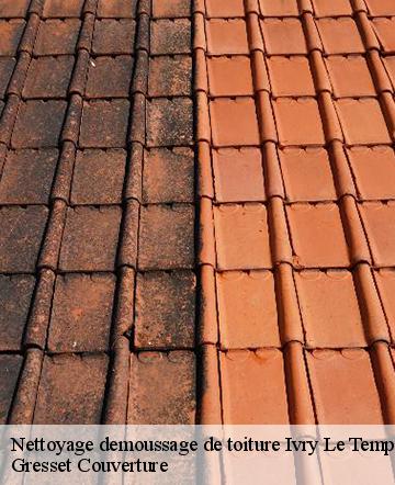 Nettoyage demoussage de toiture ivry-le-temple-60173 Gresset Couverture