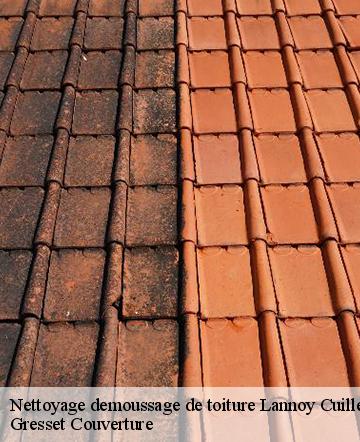 Nettoyage demoussage de toiture  lannoy-cuillere-60220 Gresset Couverture
