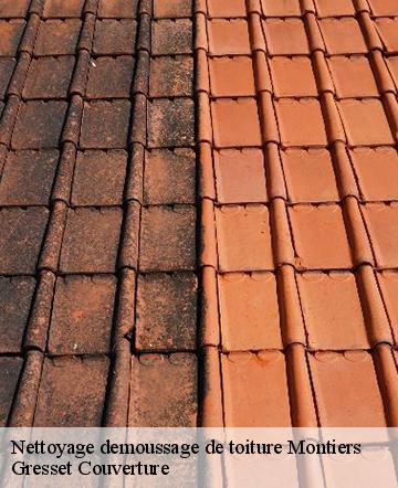 Nettoyage demoussage de toiture  montiers-60190 Gresset Couverture