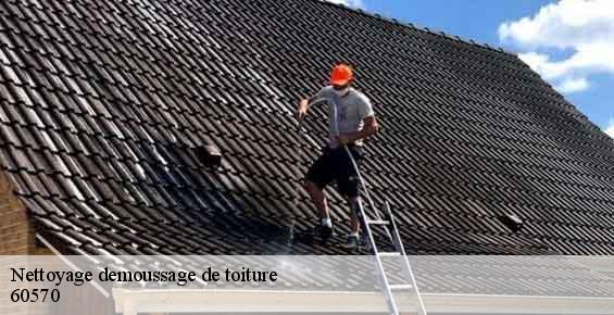 Nettoyage demoussage de toiture mortefontaine-en-thelle-60570 Gresset Couverture