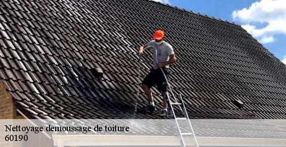 Nettoyage demoussage de toiture  neufvy-sur-aronde-60190 Gresset Couverture
