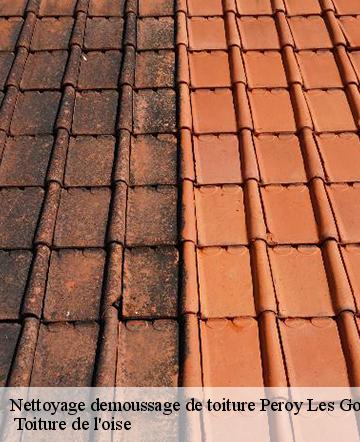 Nettoyage demoussage de toiture peroy-les-gombries-60440 Weslay couverture