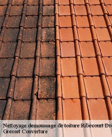Nettoyage demoussage de toiture  ribecourt-dreslincourt-60170 Gresset Couverture