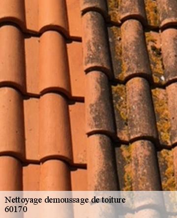 Nettoyage demoussage de toiture  ollencourt-60170 Gresset Couverture