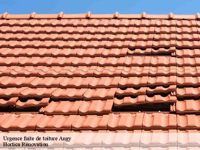 Urgence fuite de toiture  angy-60250 Hortica Rénovation