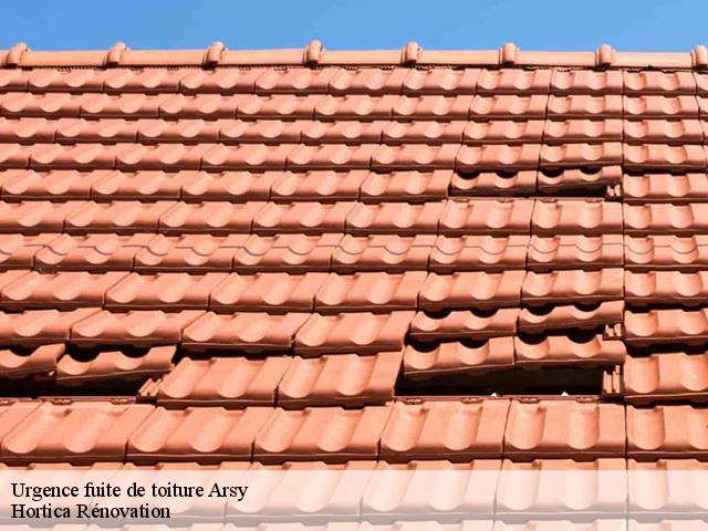 Urgence fuite de toiture  arsy-60190 Hortica Rénovation