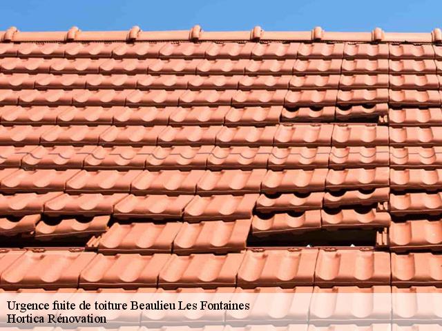 Urgence fuite de toiture  beaulieu-les-fontaines-60310 Hortica Rénovation