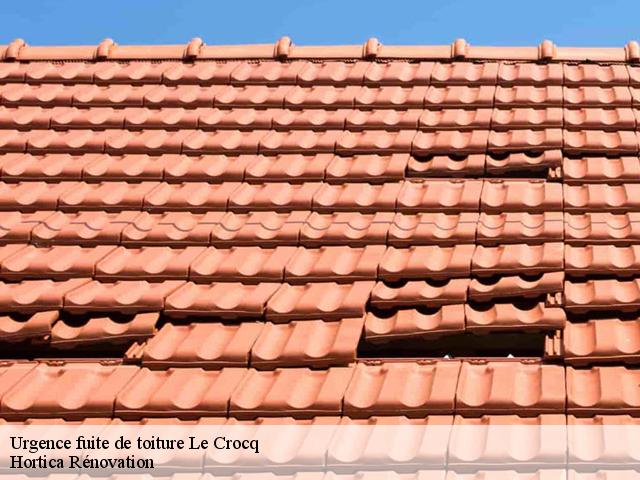 Urgence fuite de toiture  le-crocq-60120 Hortica Rénovation