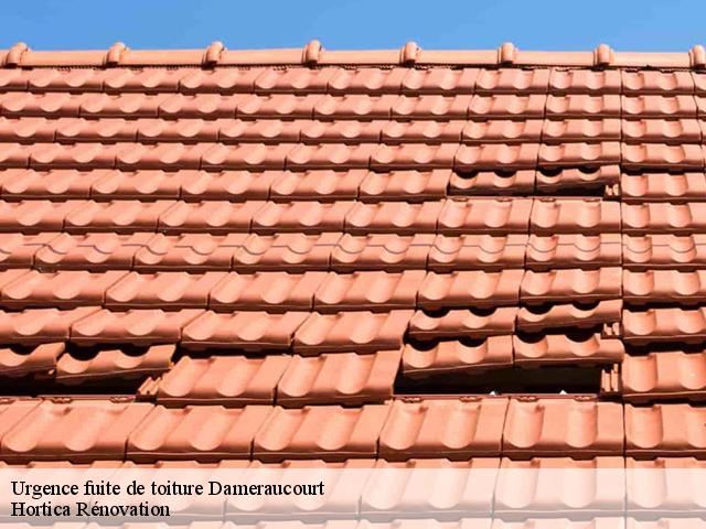Urgence fuite de toiture  dameraucourt-60210 Hortica Rénovation