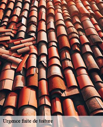 Urgence fuite de toiture  lachapelle-aux-pots-60650 Gresset Couverture