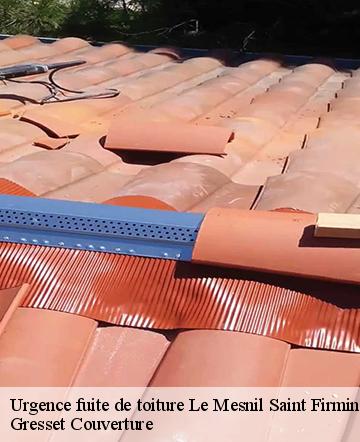 Urgence fuite de toiture  le-mesnil-saint-firmin-60120 Gresset Couverture