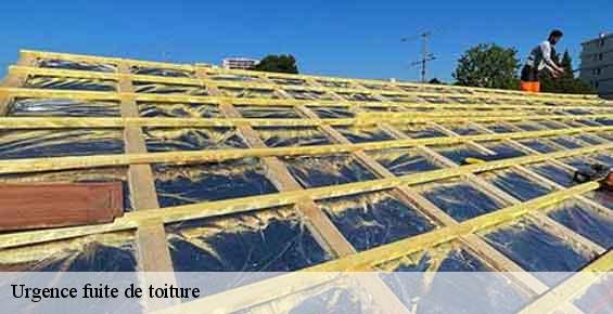 Urgence fuite de toiture  parnes-60240 Gresset Couverture