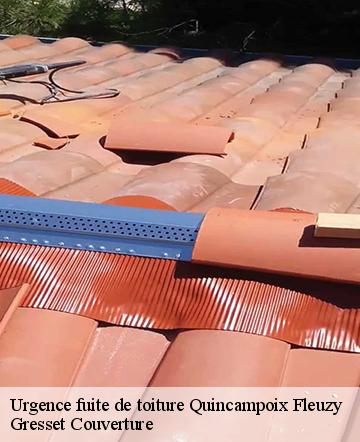 Urgence fuite de toiture quincampoix-fleuzy-60220 Gresset Couverture