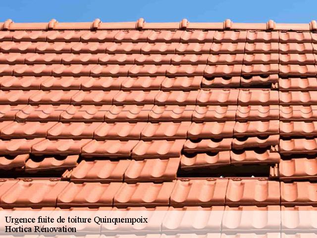 Urgence fuite de toiture  quinquempoix-60130 Hortica Rénovation