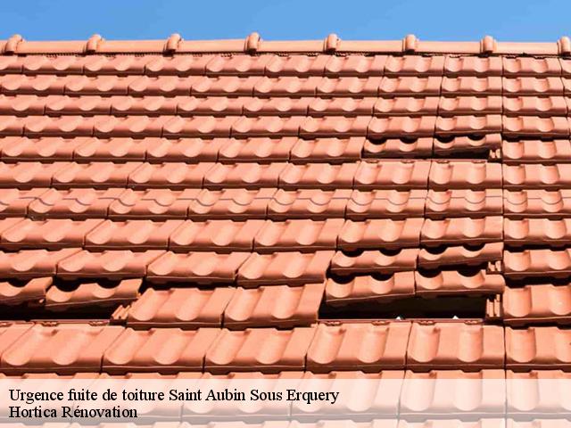 Urgence fuite de toiture  saint-aubin-sous-erquery-60600 Hortica Rénovation